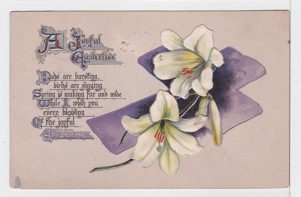 TurtlesTradingPost- Boston, MA 1912- Easter Post Card