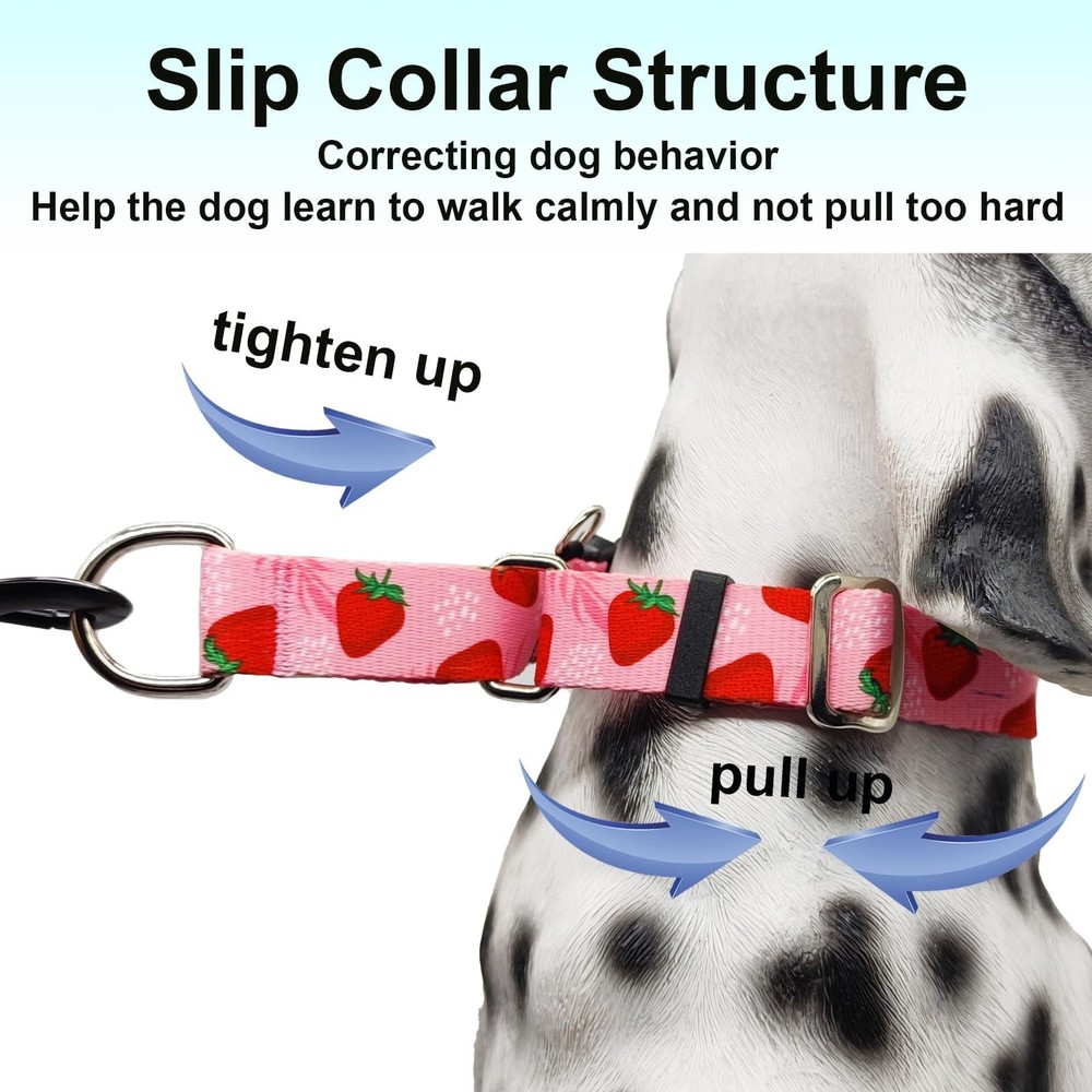 Martingale Collar for Dogs with Pink Strawberry Pattern No Pull Training Nylo...