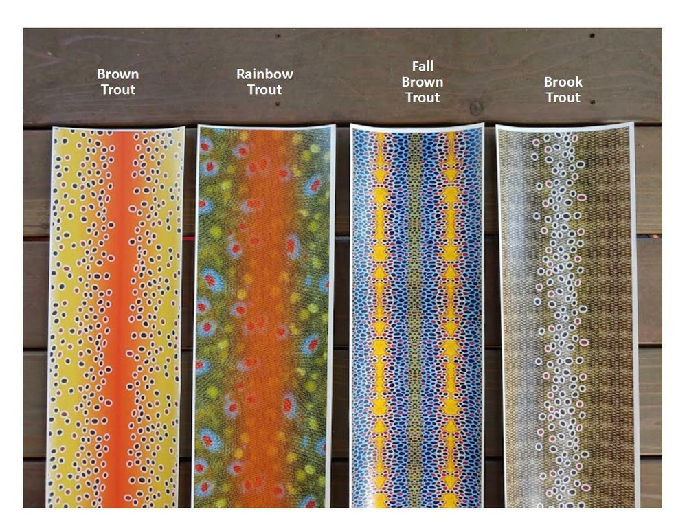 Graphite Fly Rod Case