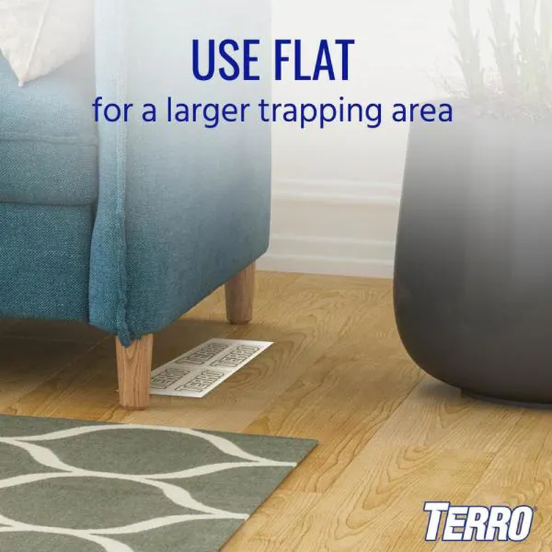 Non-Toxic Spider and Insect Trap (4-Count)