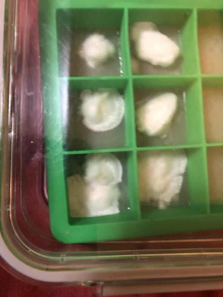 Live Genetics (Pick from Agar/LC/MSS/SS/SP)