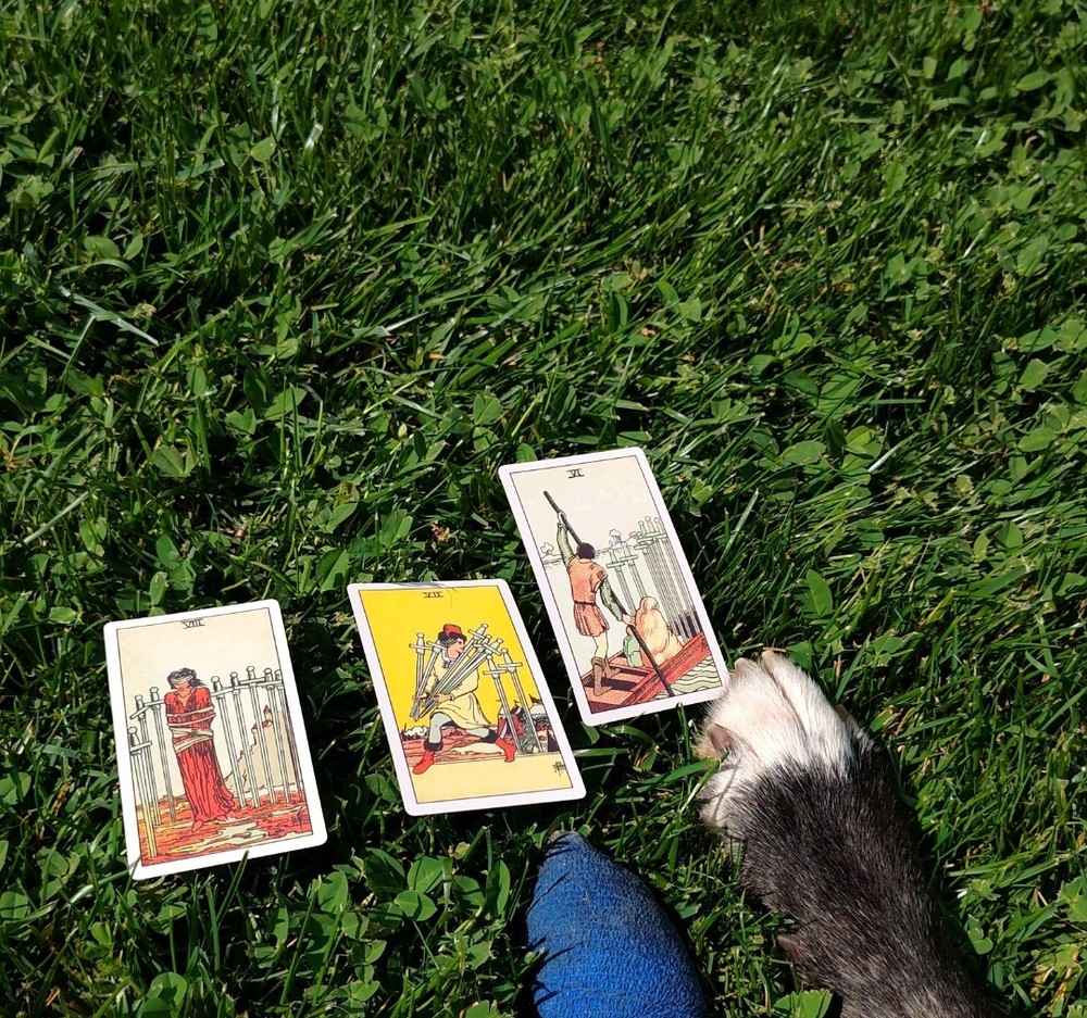 Tarot Readings