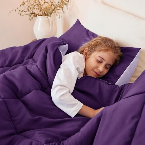 Lightweight Reversible Size Comforter Set, Down Twin Deep Purple/ Lilac