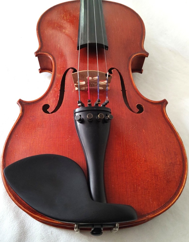Advanced Level 4/4 Fiddle, Exceptional Tone & Sensitivity, Handmade, Ebony/Cedar