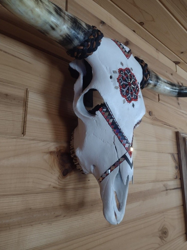 hand painted authentic highland steer skull