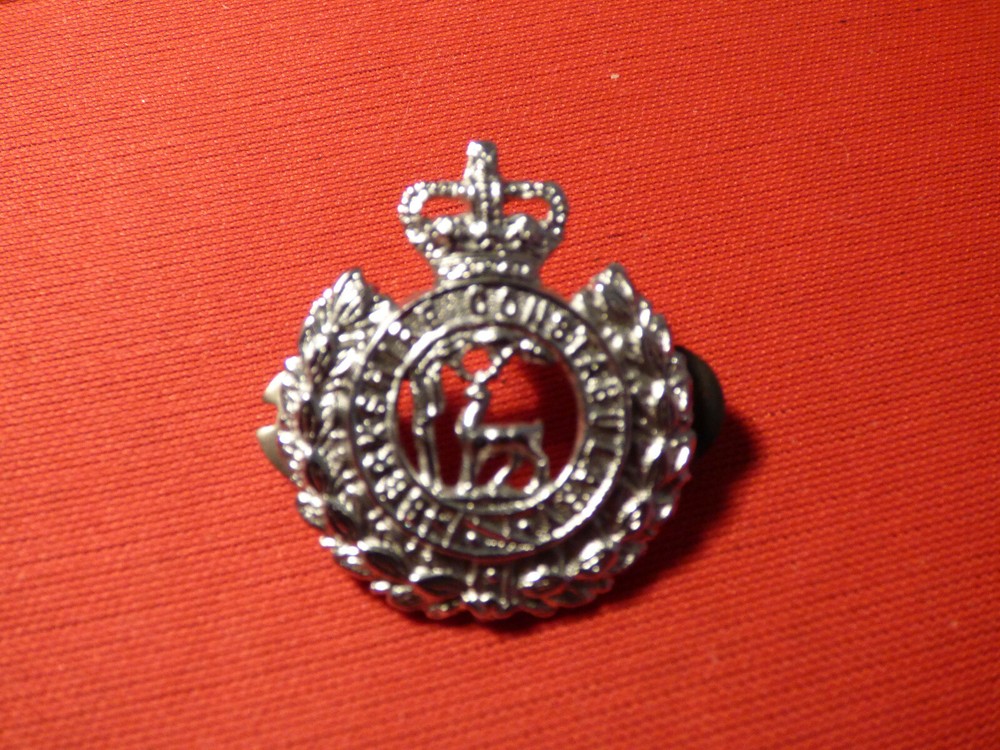 Berkshire Constabulary collar badges QC.
