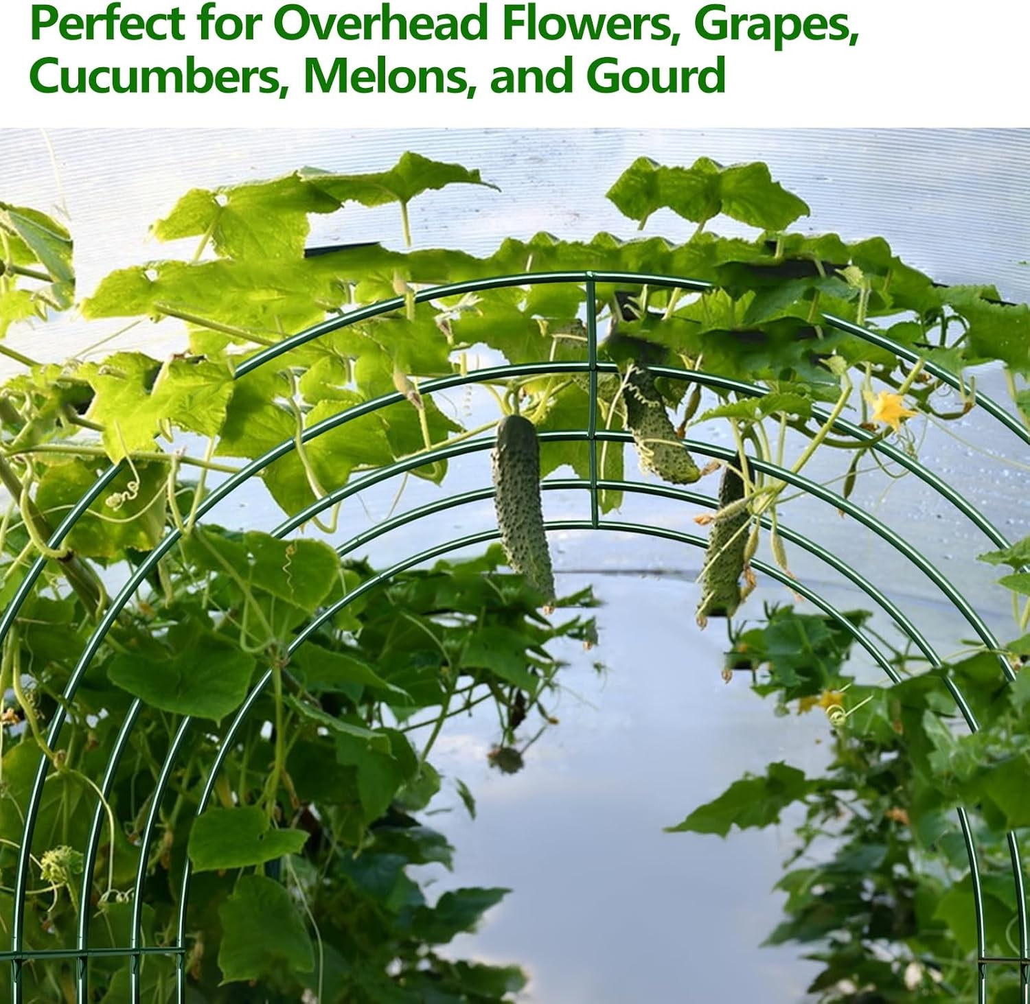 Large Size Steel Garden Arch Rose Arbor Climbing Plant Grape Support Frame Yard