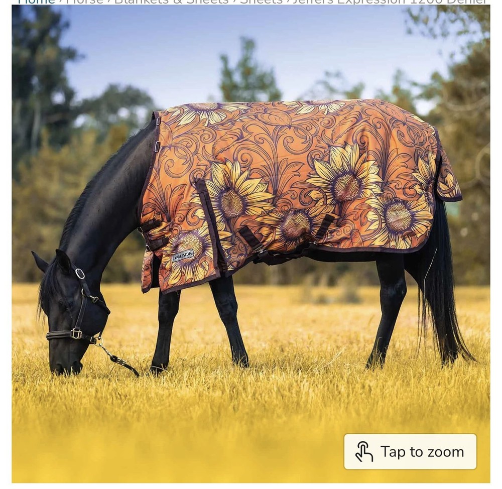 Horse Winter Blanket