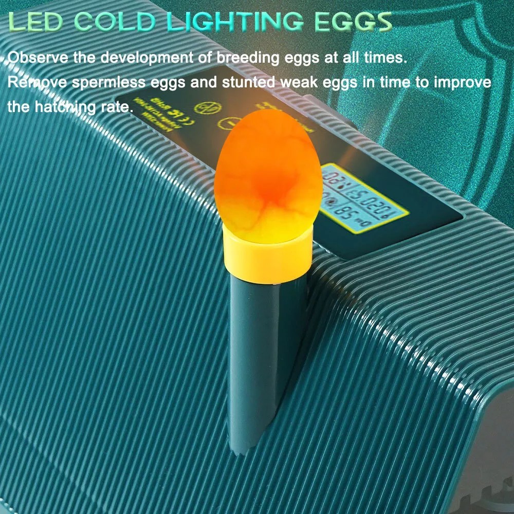 Electric Egg Hatching Automatic Rotating Chicken Quail Chick Hatcher Incubator
