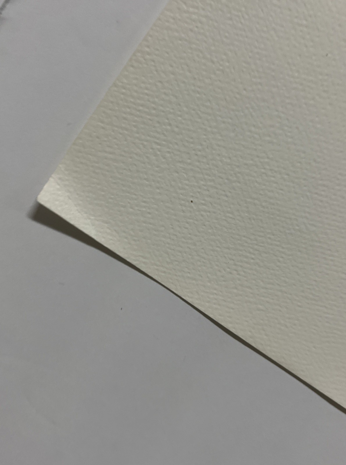 Vintage Lynx Bobcat / Cougar Mountain Lion Art Prints 16 X 20” Unframed Lot Of 2