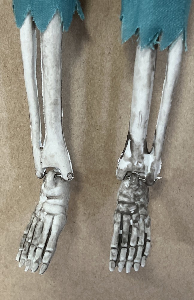 Surgeon Skeleton for Halloween by Ganz - 17" EUC