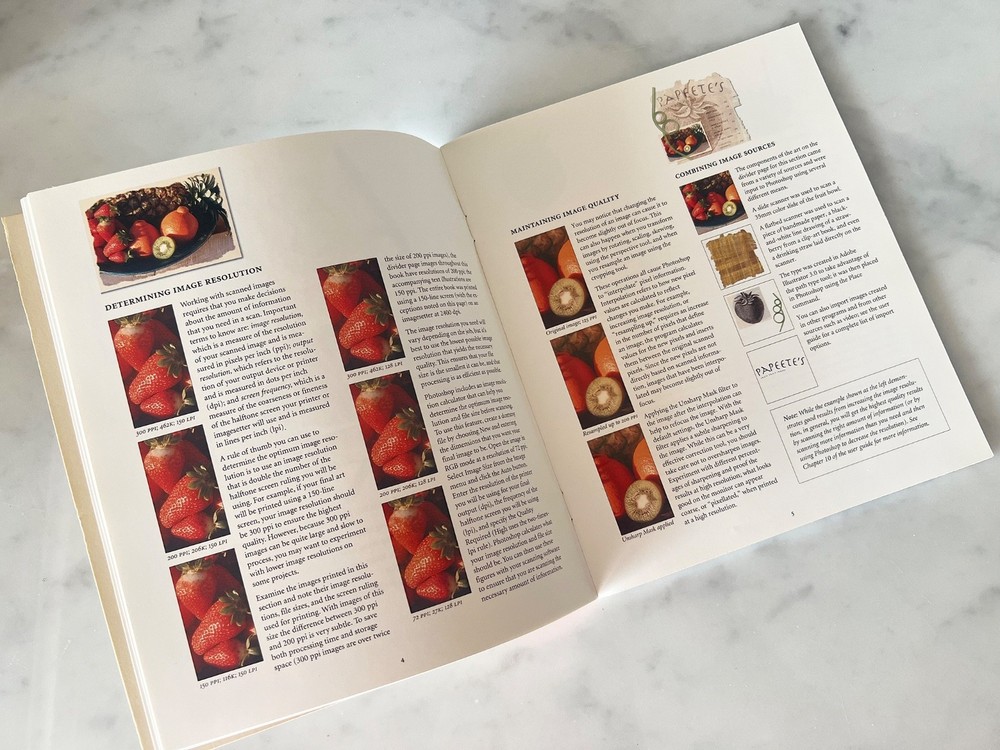 Adobe Photoshop Beyond the Basics Macintosh Version 2 Tutorial