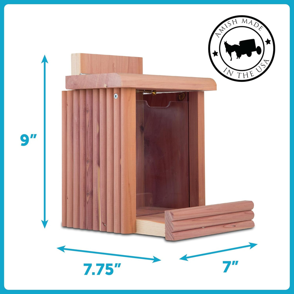 Cedar Squirrel Snacker Feeder, 2.75 LB Capacity