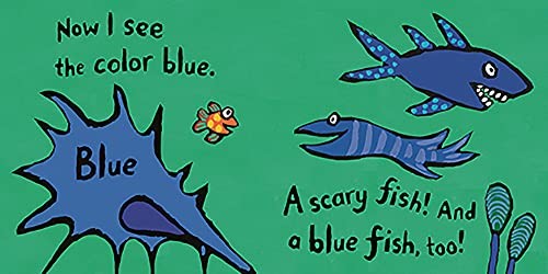 Colors with Little Fish