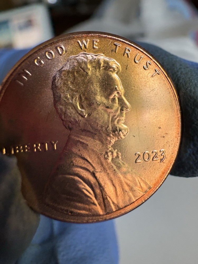 2023 P WOUNDED HEAD LINCOLN from a BU ROLL