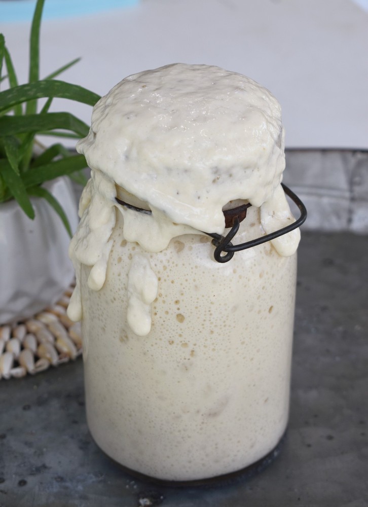 Dried Sourdough Starter for baking