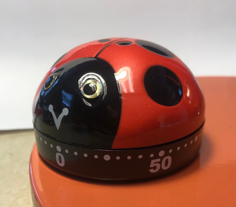 Ladybug Kitchen Timer