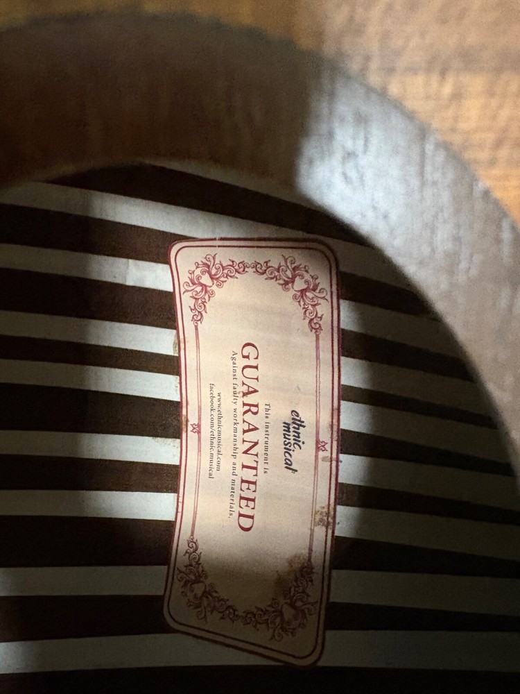 Professional oud instrument