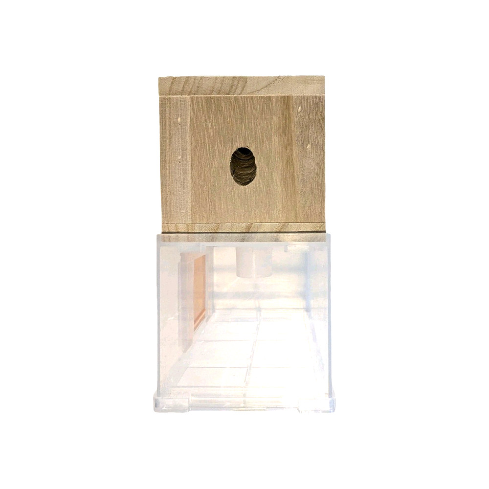 BeesnThings Hanging Bee Trap