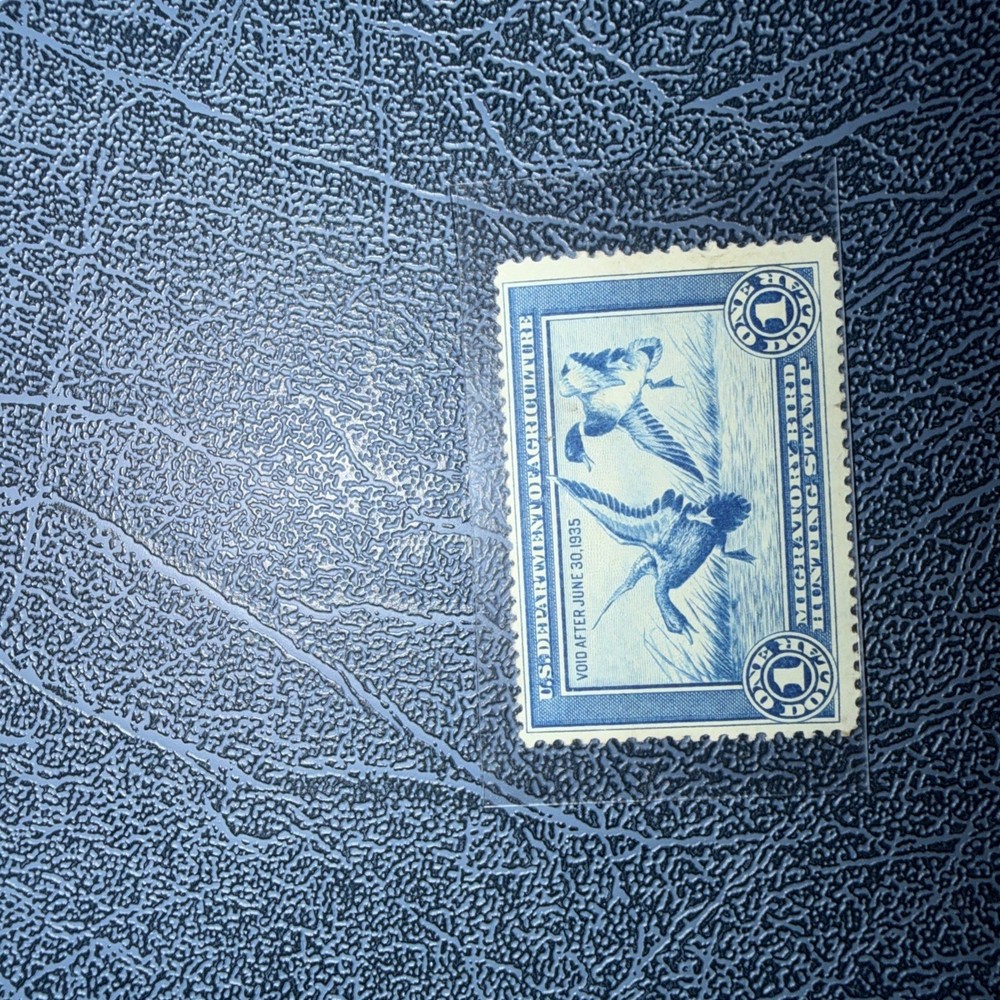 USA #RW1 Mint Fine Never Hinged - Some Nice Offset In Blue On Reverse