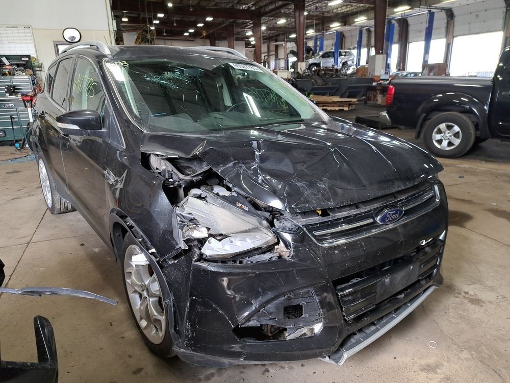 2014 Escape Jack Sku#4255099