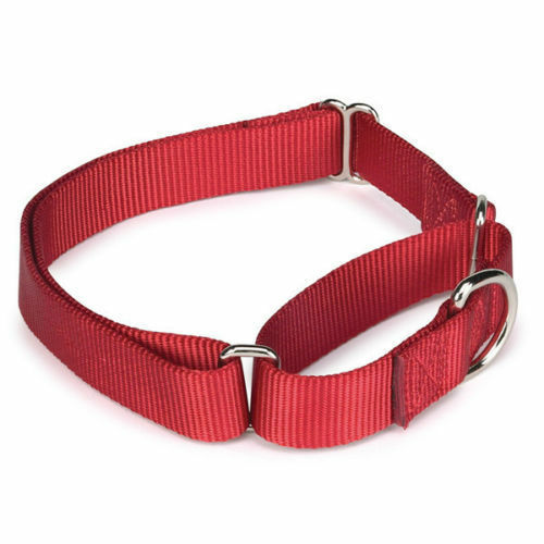 Martingale Dog Collars Adjustable Nylon Choke No Pull Training Pick Color & Size