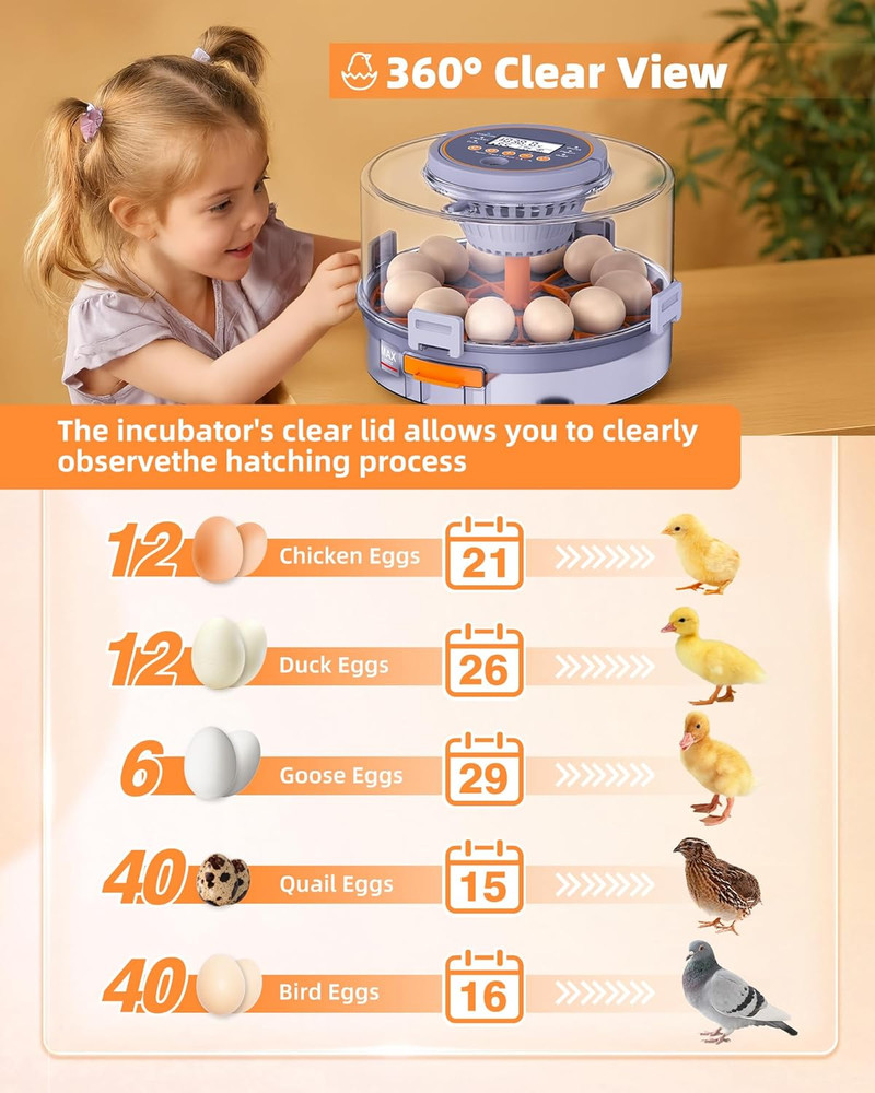 Incubators for Hatching Eggs, 12 Chicken Incubator with Automatic Egg Turning an