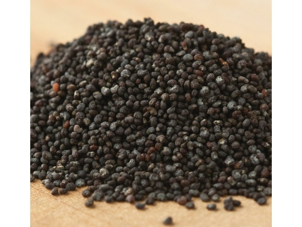 Poppy Seeds 1 Pound Seeds
