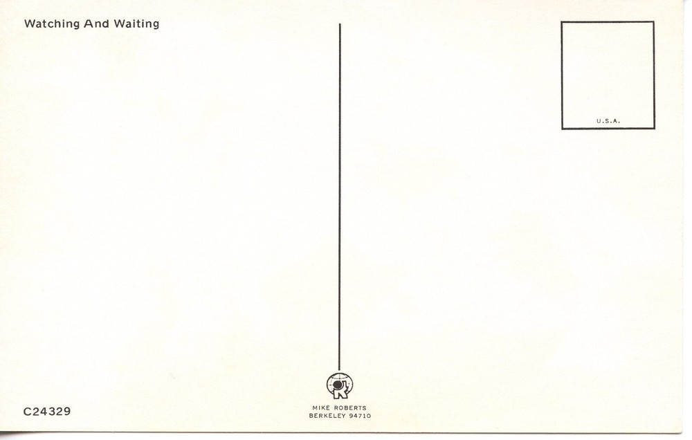 WATCHING & WAITING - PC916