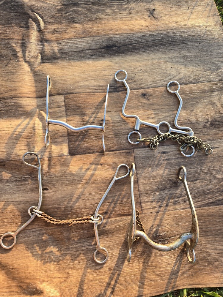 4 Horse Bits