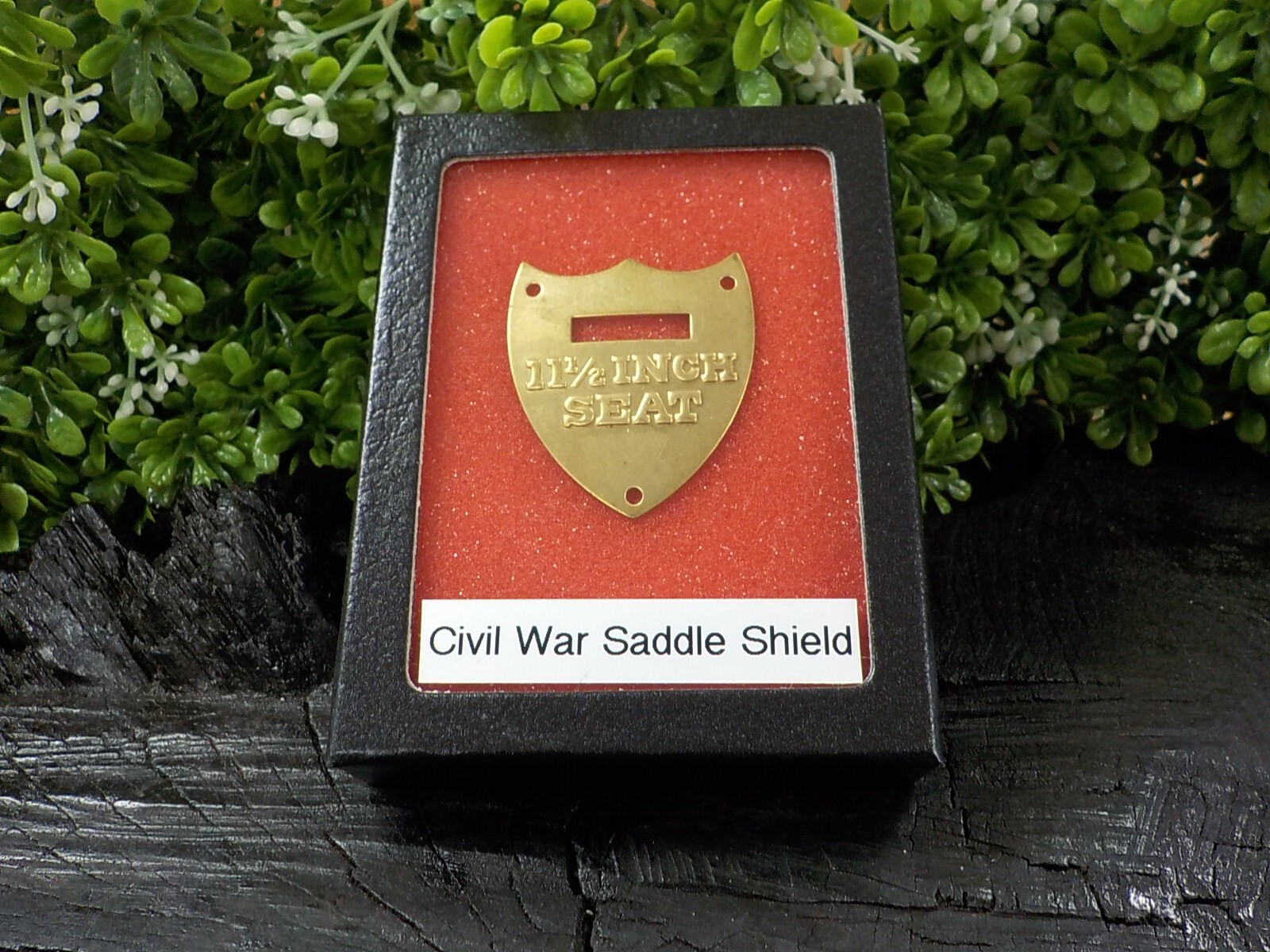 11 1/2 Inch Calvary Saddle Shield with Free Display Case for Display and Protect