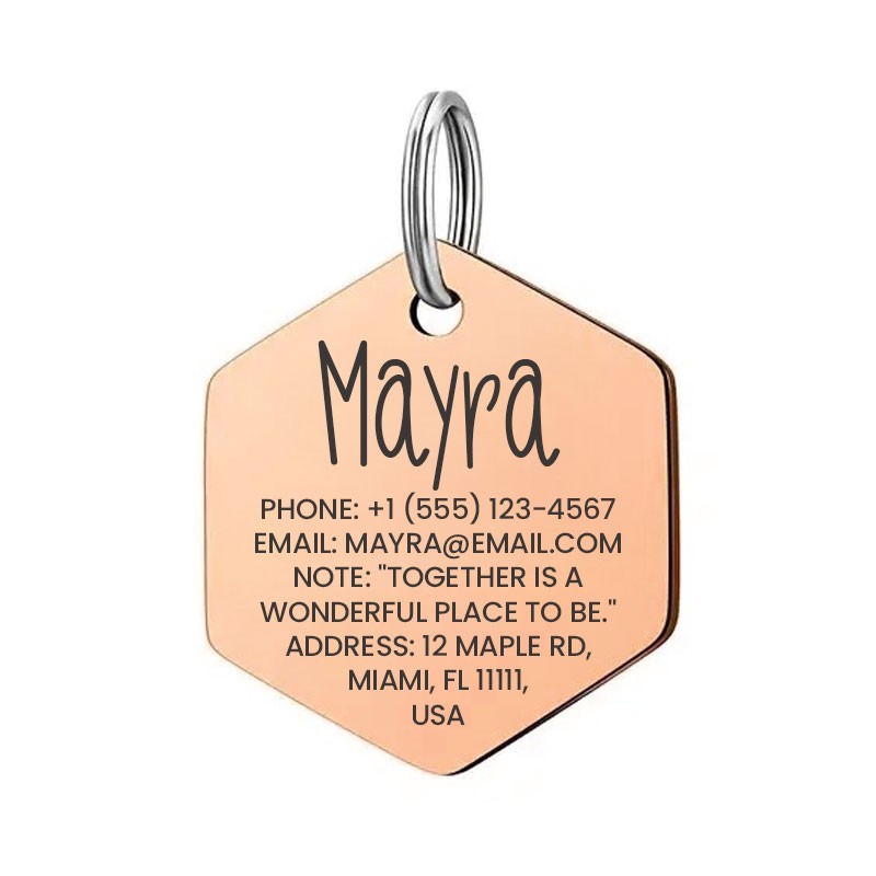 Personalized Hex Stainless Steel Dog Tag Pet Tag Placa de Identificación Perro