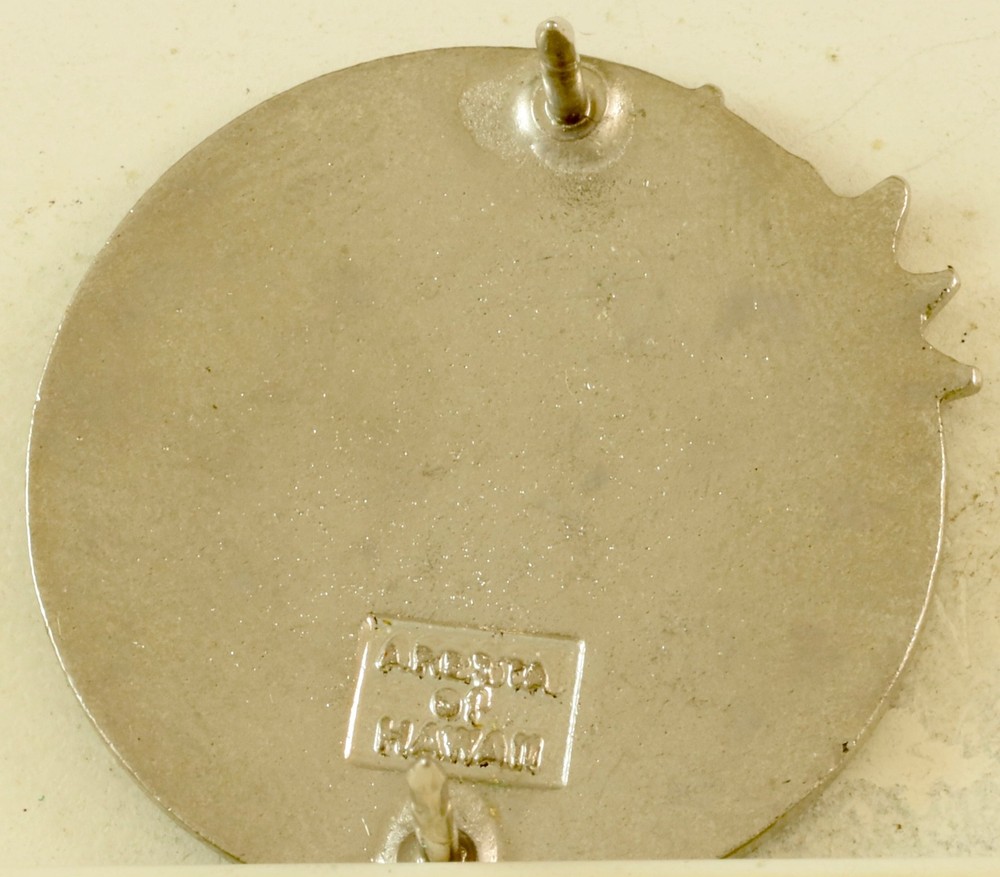 751st Bomb Squadron Crest DI/DUI CB Aresta HM