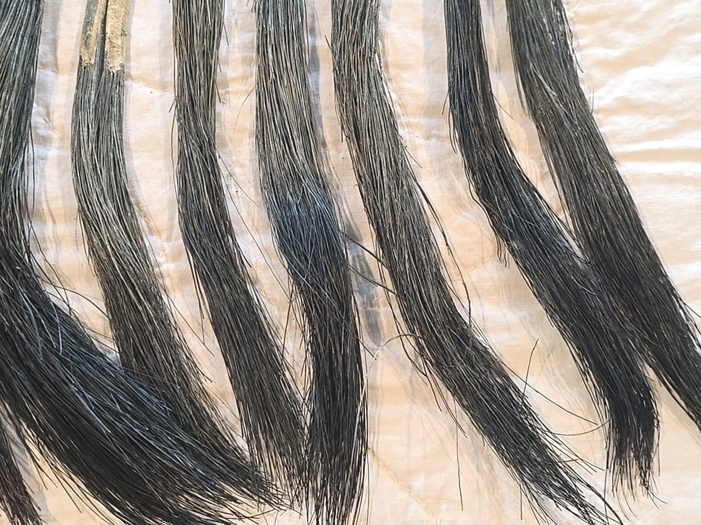 11 Giant Fat Wild Turkey Beards Taxidermy Bird Crafts 9-12" #1