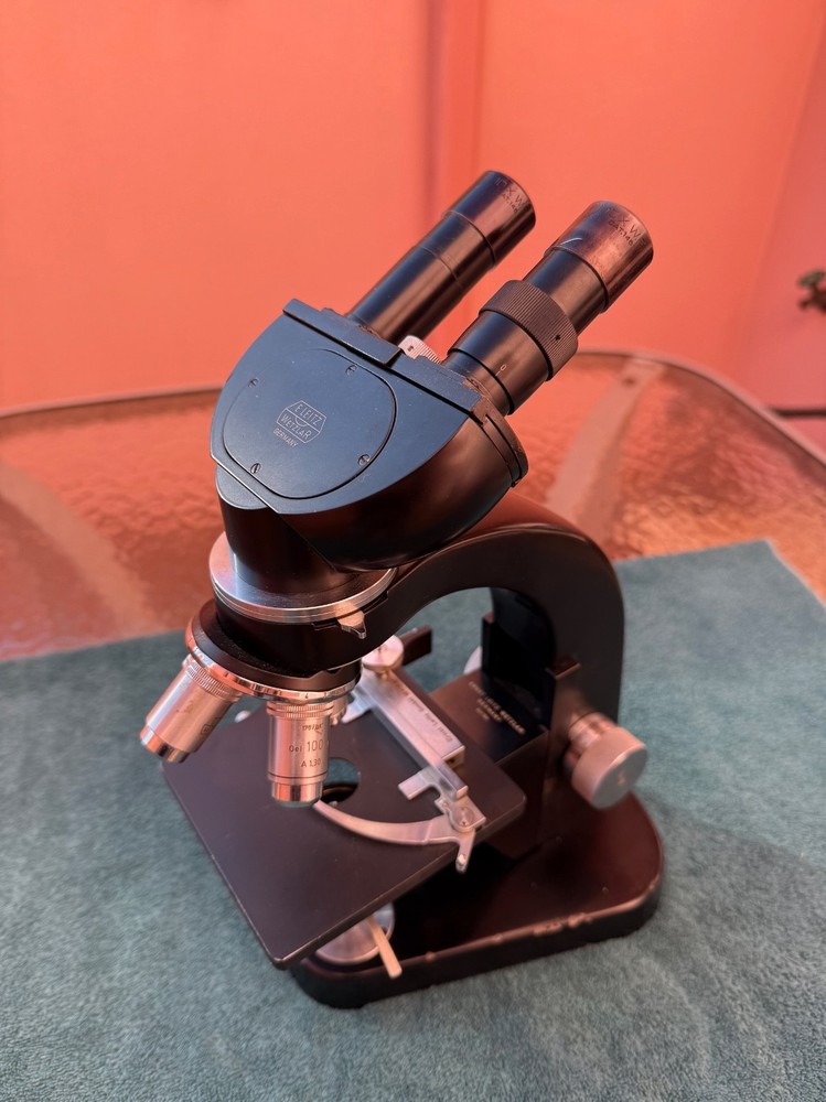 E Leitz Wetzlar Vintage Binocular Microscope - Four Objectives - Germany