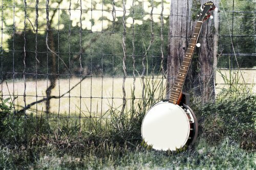 Pyle PBJ60 5 String Banjo Instrument Guitar