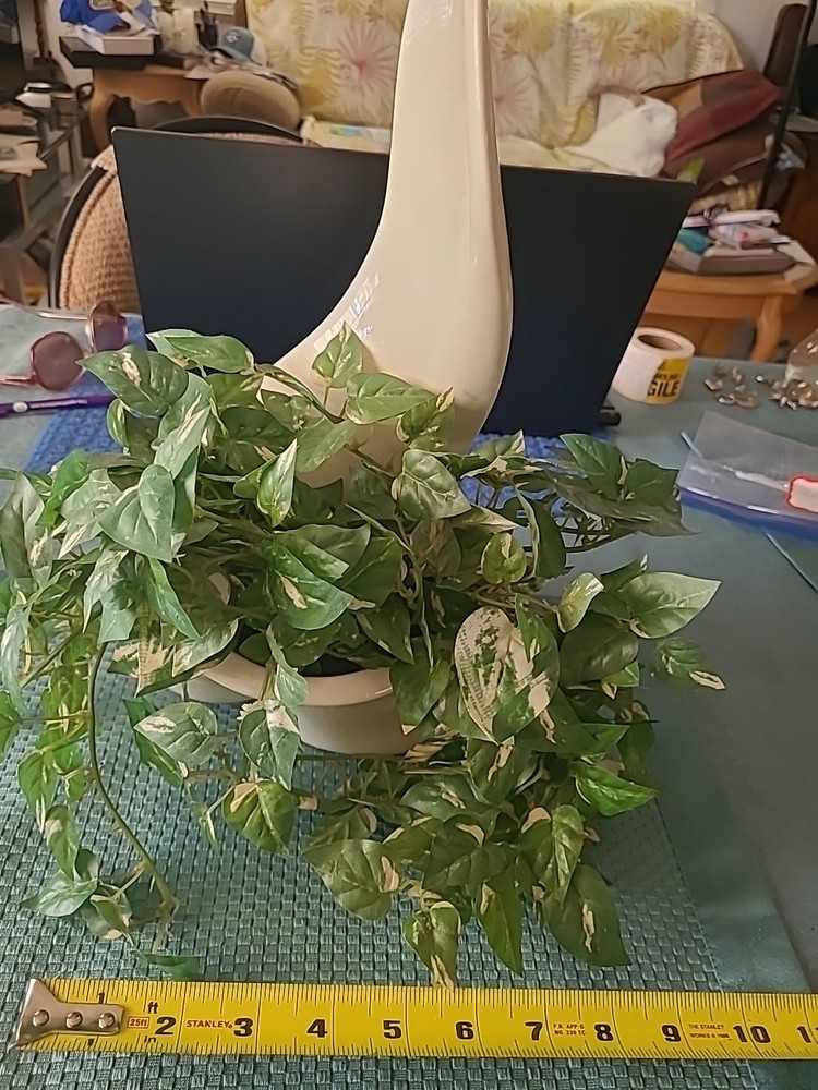 VTG. VASE AND VINE