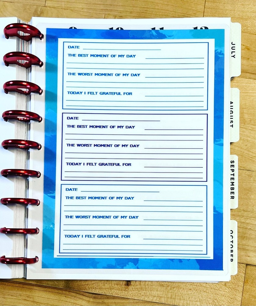 Gratitude Log Dashboard Insert 4 use with Classic HAPPY Planner~