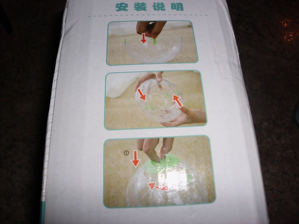 HAMSTER CRYSTAL BALL EXERCISE, New