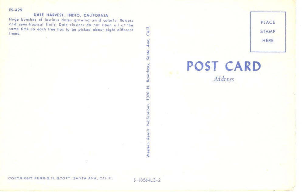DATE HARVEST, INDIO, CA - PC6232