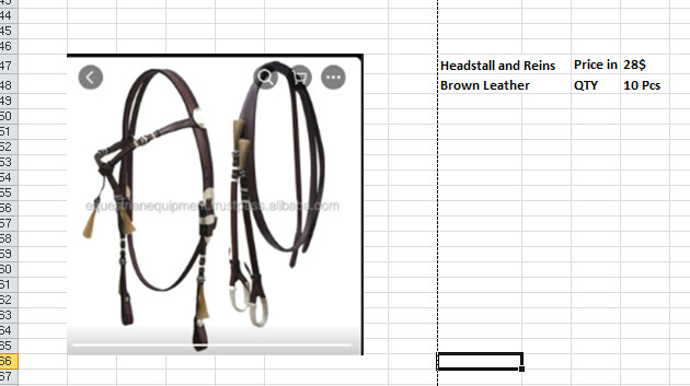SET OF HEADSTALL FOR CHINA ONLY (10 SETS)