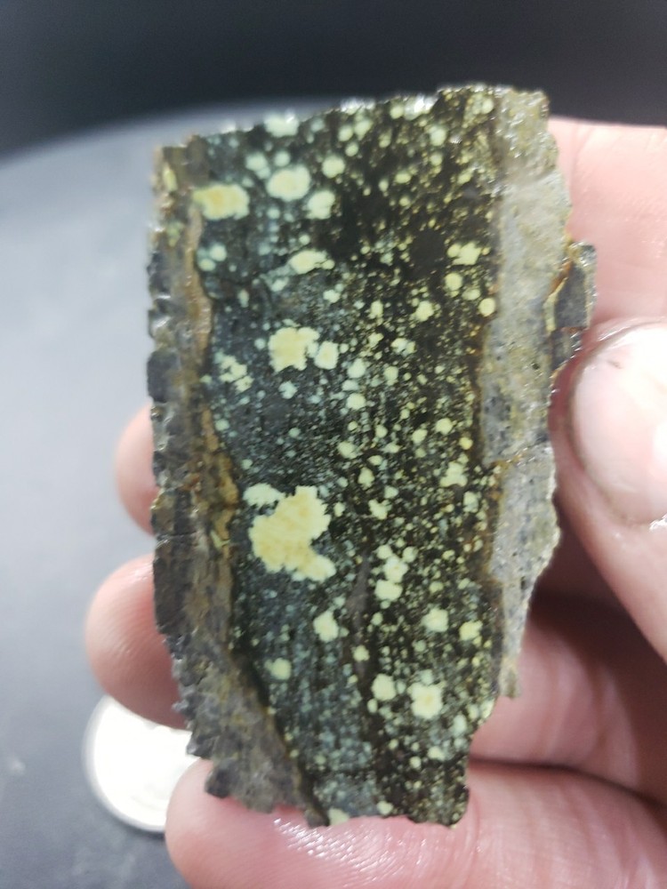 Nevada Saguaro Variscite Slab