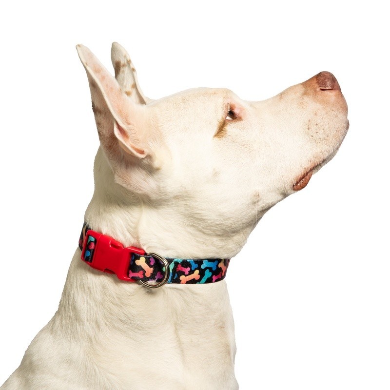 Dog Collar Multicolored Large Adjustable Bone Print Decor