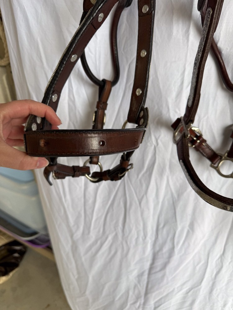 Circle Y Show Halter