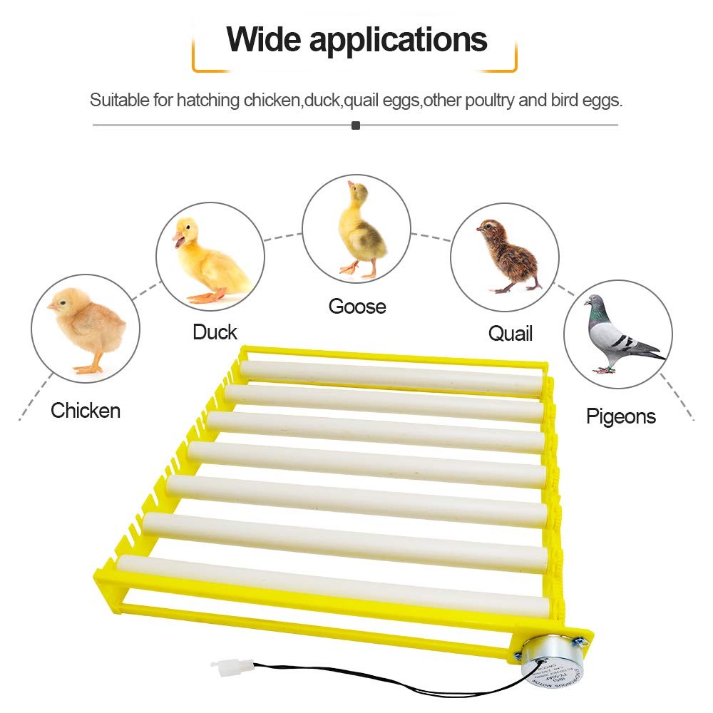 HBtree Automatic Multifunction Incubator Egg Tray Turning Hatcher for