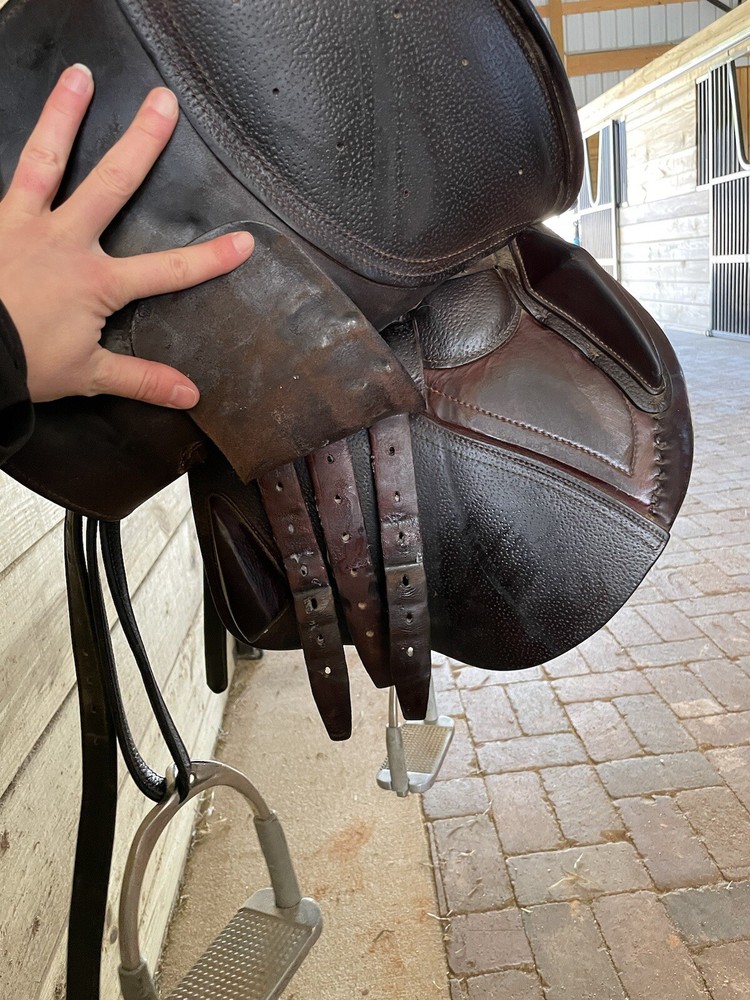 CWD SEO2 Regular Tree 2014 1C flap (Short Forward)