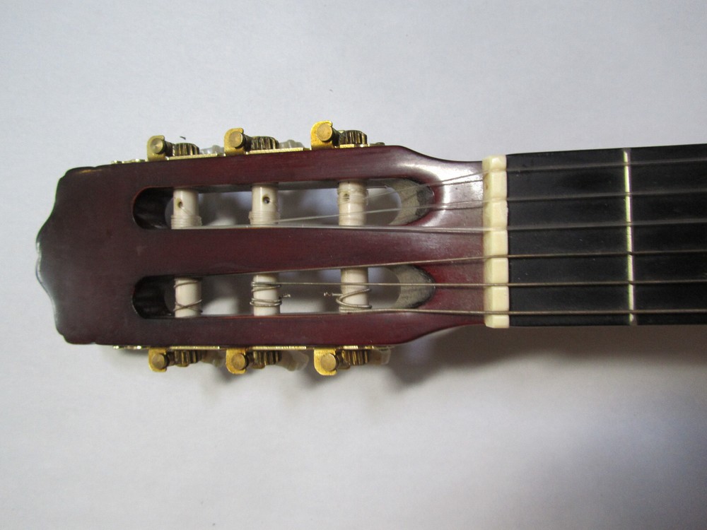 Eleca Acoustic 6 String Guitar Model C0-10