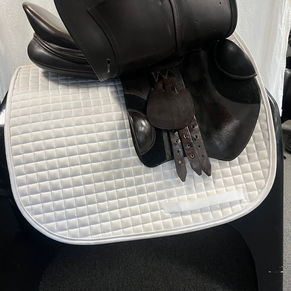 Used Schleese Eagle- Size 17.5" Jump Saddle Brown