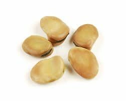 MOJO WISH BEANS 3 BEANS