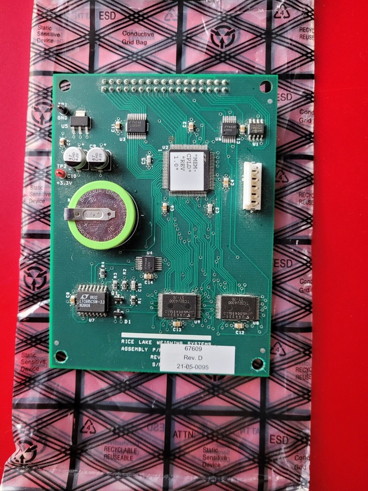 Rice Lake Weighing 920i Memory Module 1M